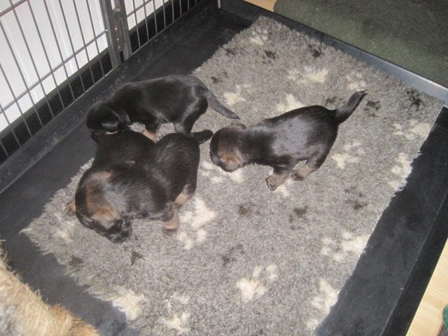 20131005001.jpg