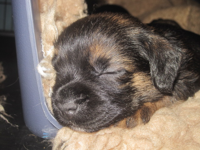 20131005002.jpg