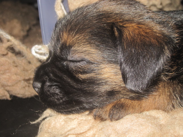 20131005003.jpg