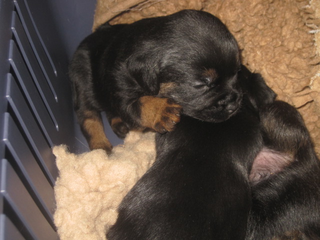 20131005004.jpg