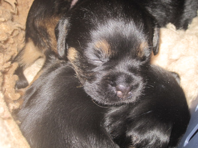 20131005005.jpg