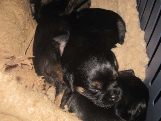 20131005006.jpg