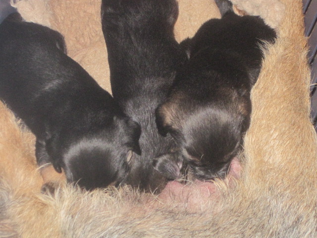 20131005007.jpg