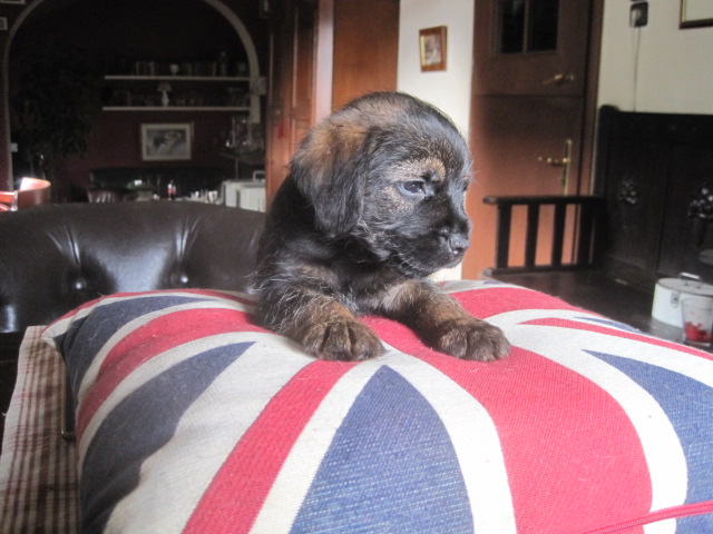 20131011002.jpg