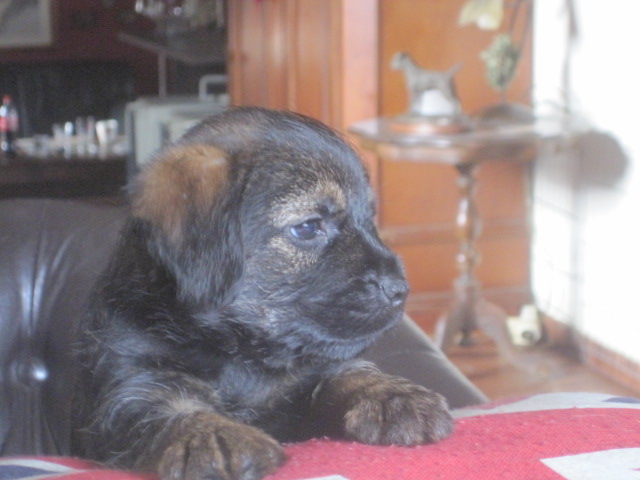 20131011006.jpg