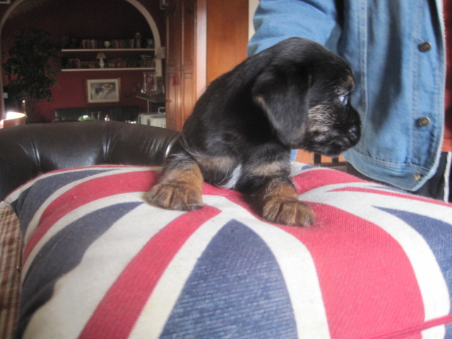 20131011007.jpg