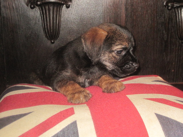 20131015001.jpg