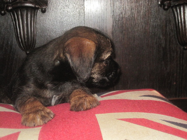 20131015002.jpg