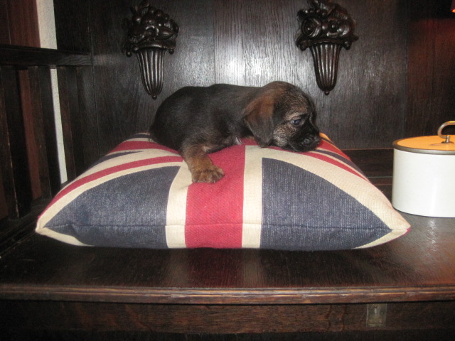 20131015003.jpg