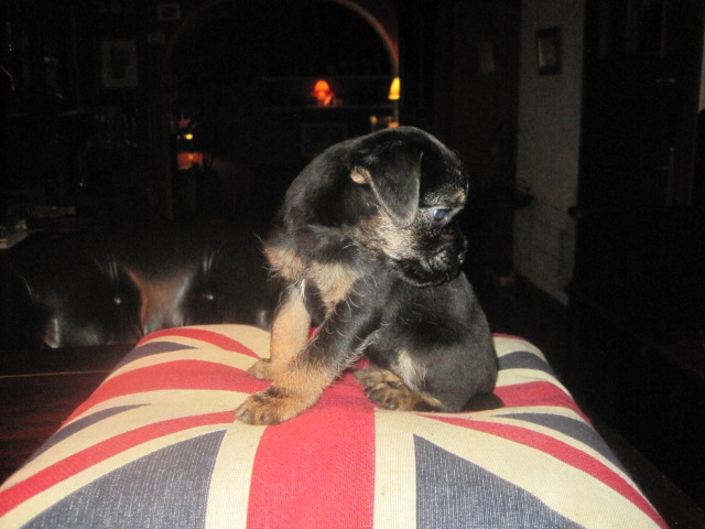 20131015007.jpg