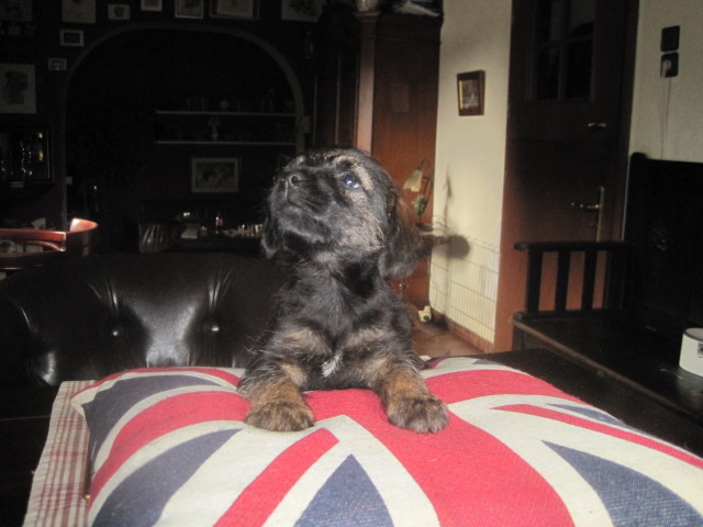 20131015011.jpg