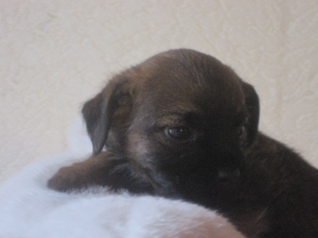 20131205002.jpg