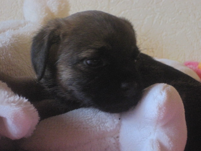 20131205003.jpg