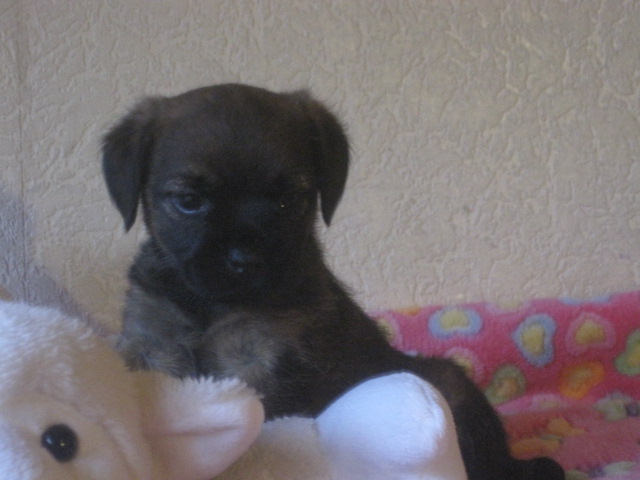 20131205006.jpg