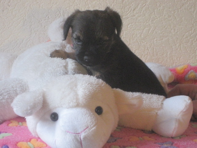 20131205008.jpg