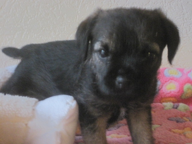 20131205009.jpg