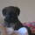 20131205006.jpg