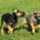 29122012_044.png