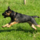29122012_045.png