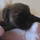 20131205003.jpg