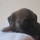 20131205002.jpg