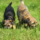 29122012_043.png