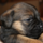 29122012_034.png