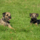 29122012_042.png