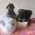 20131205011.jpg