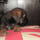 20131015002.jpg