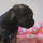 20131205010.jpg