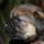 29122012_031.png
