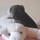 20131205007.jpg