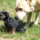 29122012_022.png
