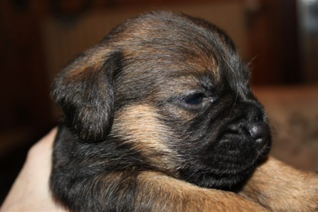29122012_034.png