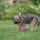 29122012_005.png