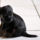 29122012_014.png