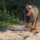 29122012_020.png