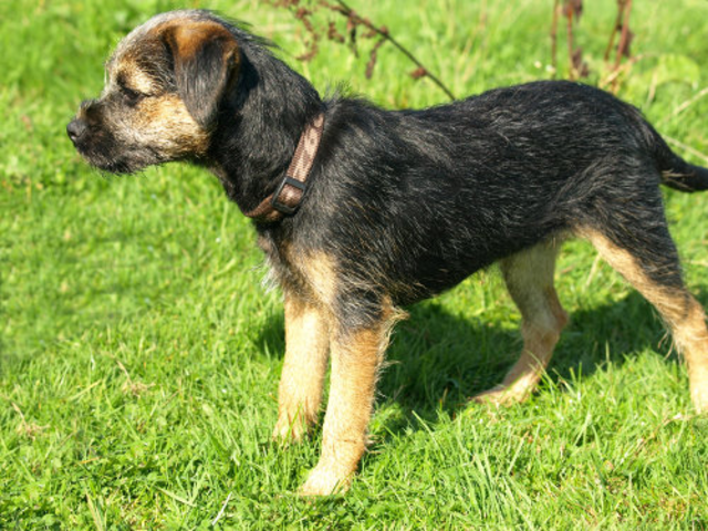 29122012_037.png