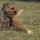 29122012_019.png