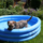 29122012_008.png