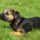 29122012_038.png