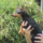 29122012_003.png