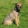 29122012_046.png