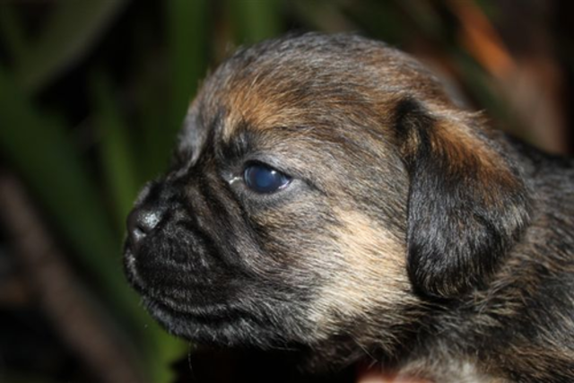 29122012_031.png