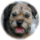 29122012_047.png