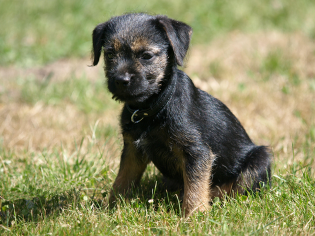 29122012_021.png
