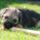 29122012_048.png
