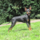 29122012_004.png