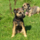 29122012_040.png